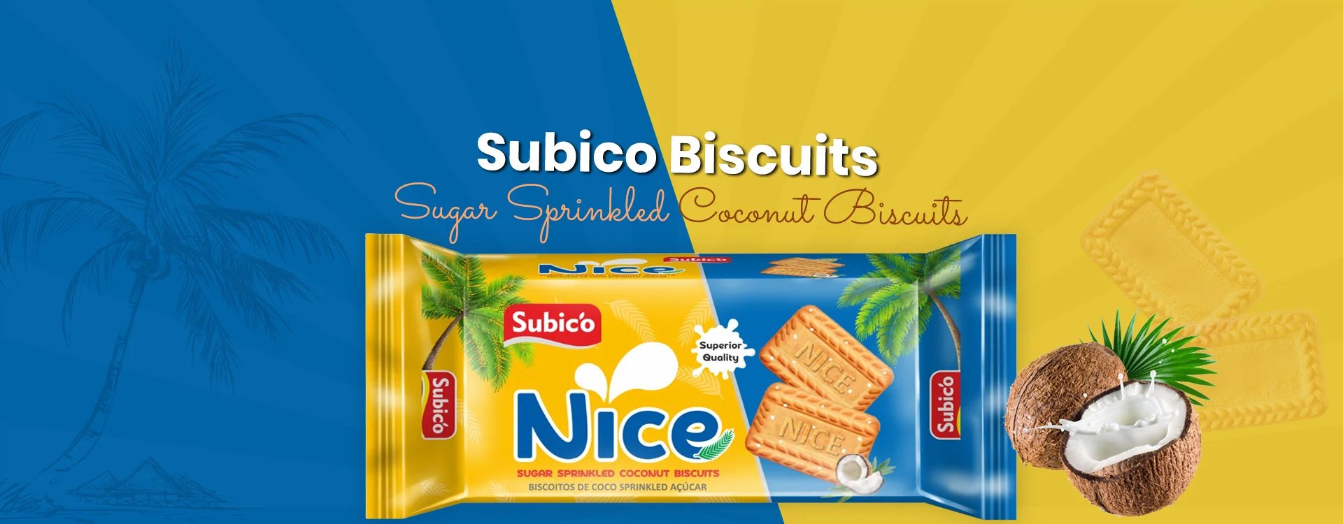 Sugar Sprinkled Coconut Biscuits Suppliers from India